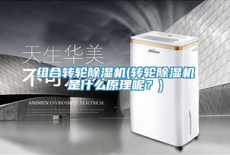 組合轉輪除濕機(轉輪除濕機是什么原理呢？)