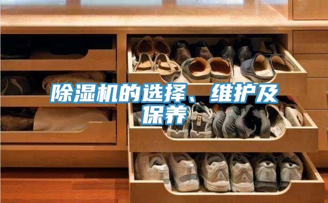 除濕機(jī)的選擇、維護(hù)及保養(yǎng)