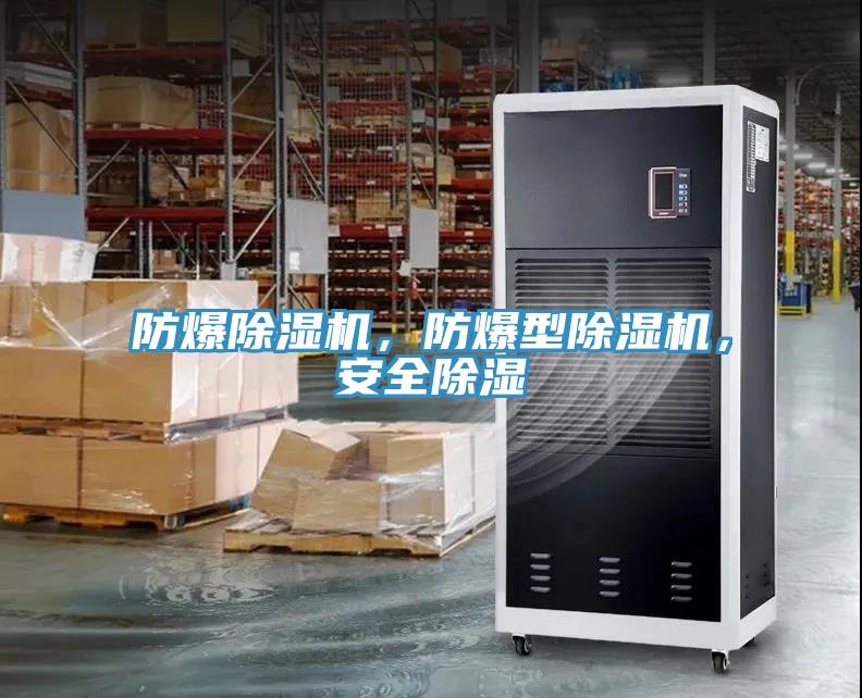 防爆除濕機(jī)，防爆型除濕機(jī)，安全除濕