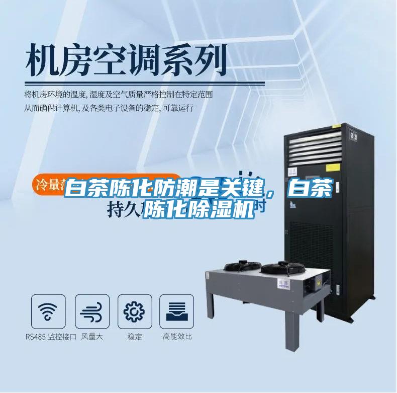 白茶陳化防潮是關鍵，白茶陳化除濕機