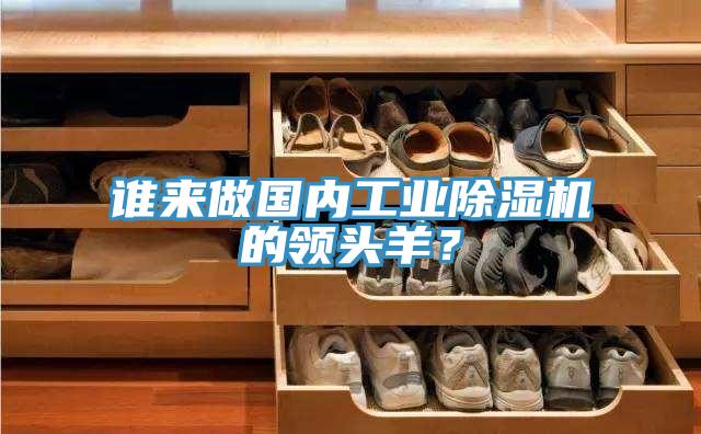 誰來做國內(nèi)工業(yè)除濕機(jī)的領(lǐng)頭羊？