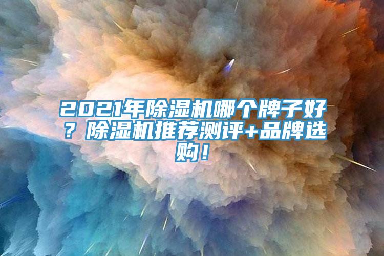2021年除濕機(jī)哪個(gè)牌子好？除濕機(jī)推薦測(cè)評(píng)+品牌選購(gòu)！