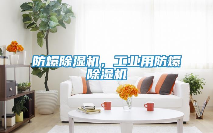 防爆除濕機，工業(yè)用防爆除濕機