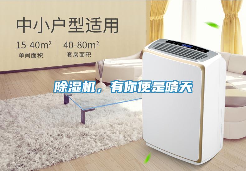 除濕機(jī)，有你便是晴天
