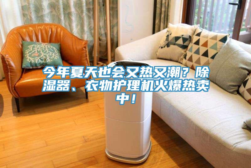今年夏天也會又熱又潮？除濕器、衣物護理機火爆熱賣中！