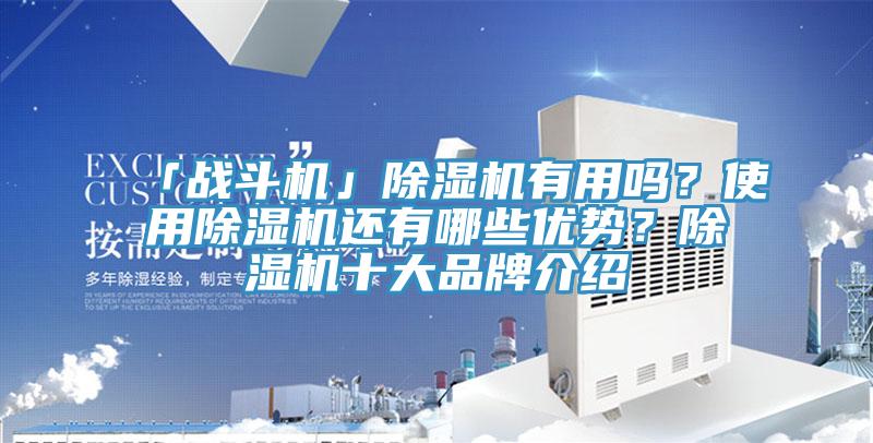 「戰(zhàn)斗機(jī)」除濕機(jī)有用嗎？使用除濕機(jī)還有哪些優(yōu)勢(shì)？除濕機(jī)十大品牌介紹