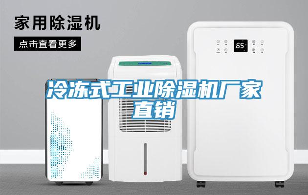 冷凍式工業(yè)除濕機(jī)廠家直銷(xiāo)