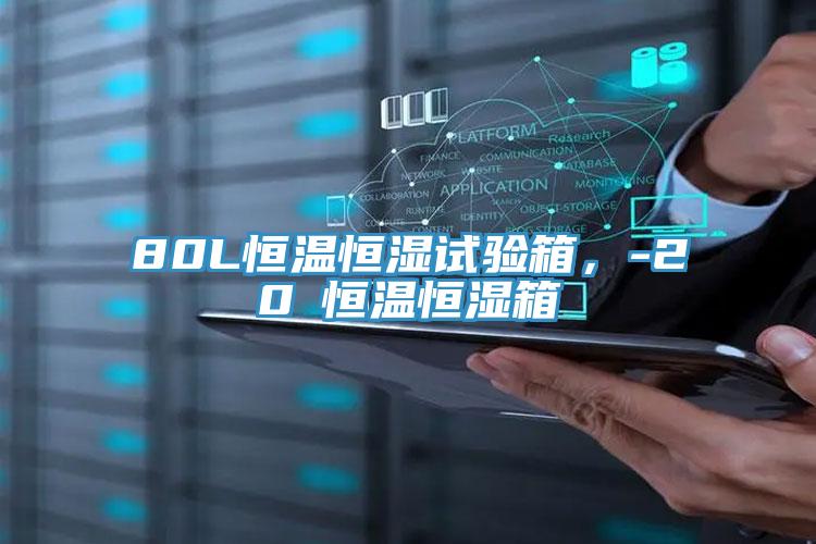 80L恒溫恒濕試驗箱，-20℃恒溫恒濕箱