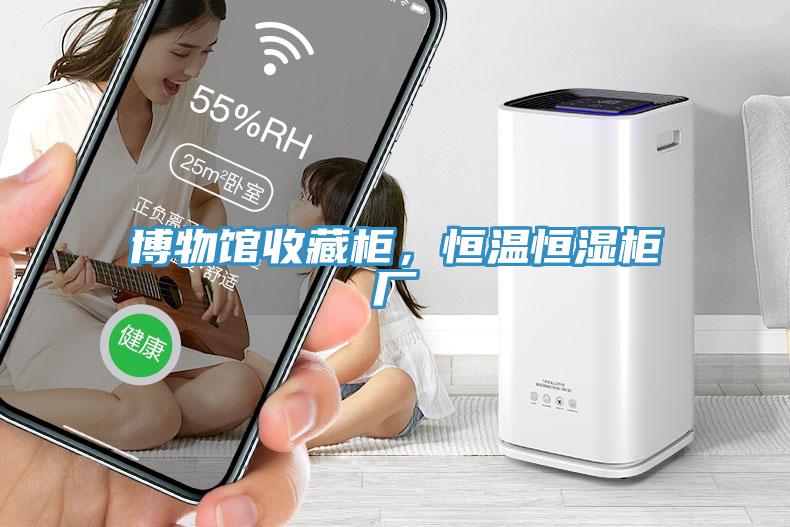 博物館收藏柜，恒溫恒濕柜廠