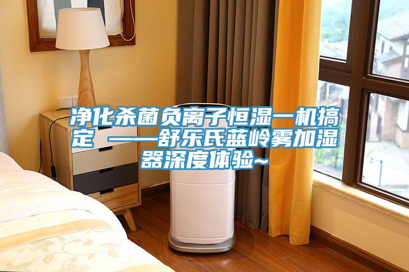 凈化殺菌負(fù)離子恒濕一機搞定 ——舒樂氏藍(lán)嶺霧加濕器深度體驗~