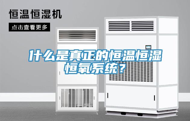 什么是真正的恒溫恒濕恒氧系統(tǒng)？