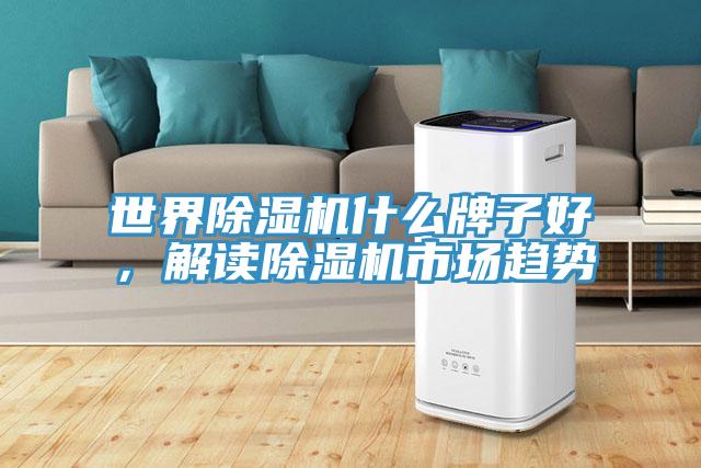 世界除濕機(jī)什么牌子好，解讀除濕機(jī)市場(chǎng)趨勢(shì)