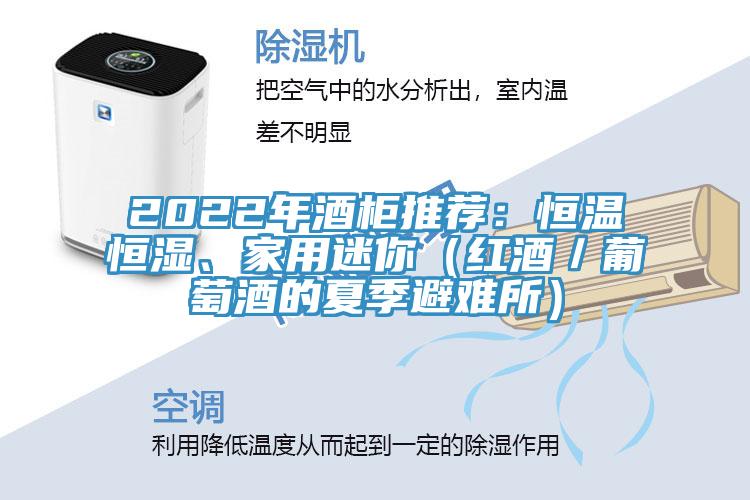 2022年酒柜推薦：恒溫恒濕、家用迷你（紅酒／葡萄酒的夏季避難所）