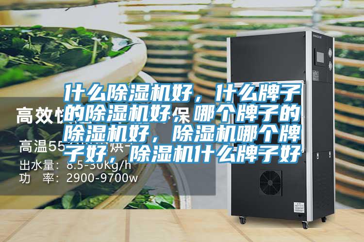什么除濕機好，什么牌子的除濕機好，哪個牌子的除濕機好，除濕機哪個牌子好，除濕機什么牌子好