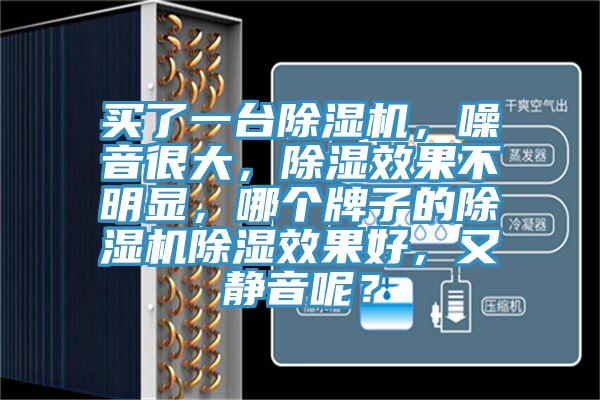 買了一臺除濕機，噪音很大，除濕效果不明顯，哪個牌子的除濕機除濕效果好，又靜音呢？