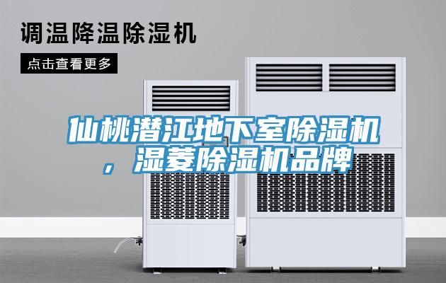 仙桃潛江地下室除濕機(jī)，濕菱除濕機(jī)品牌