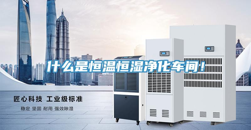 什么是恒溫恒濕凈化車間！
