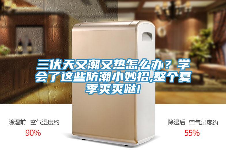 三伏天又潮又熱怎么辦？學(xué)會了這些防潮小妙招,整個(gè)夏季爽爽噠!