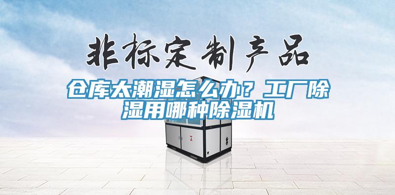 倉(cāng)庫(kù)太潮濕怎么辦？工廠除濕用哪種除濕機(jī)