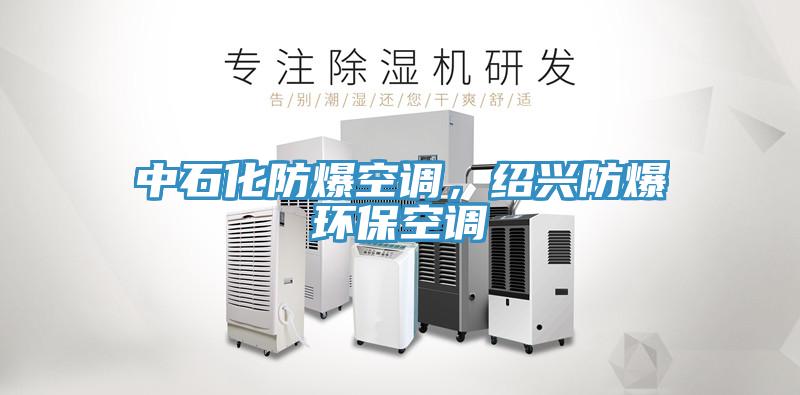 中石化防爆空調(diào)，紹興防爆環(huán)?？照{(diào)
