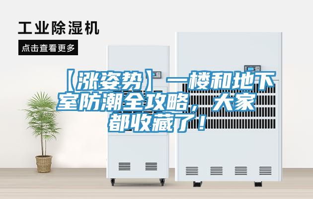 【漲姿勢】一樓和地下室防潮全攻略，大家都收藏了！