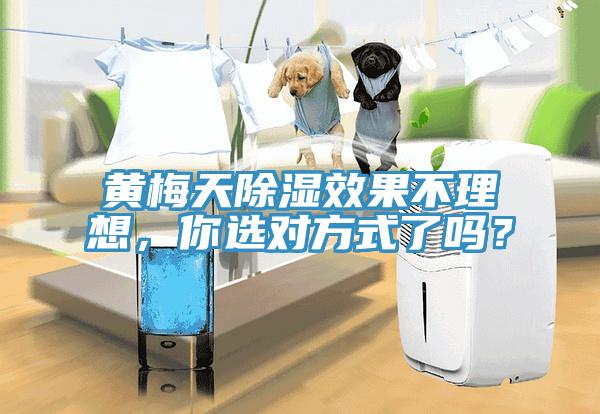黃梅天除濕效果不理想，你選對方式了嗎？