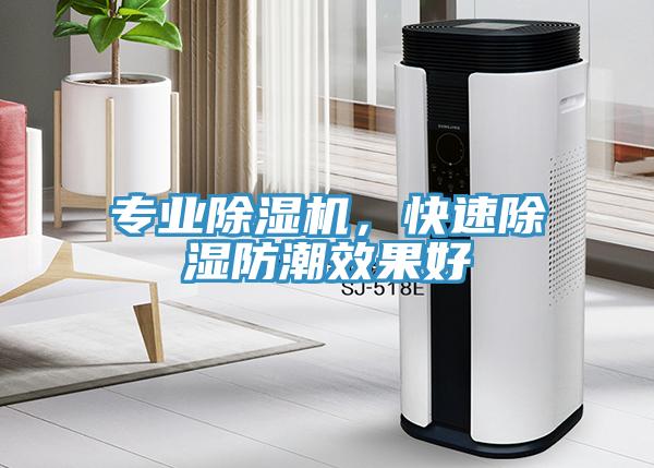 專業(yè)除濕機(jī)，快速除濕防潮效果好