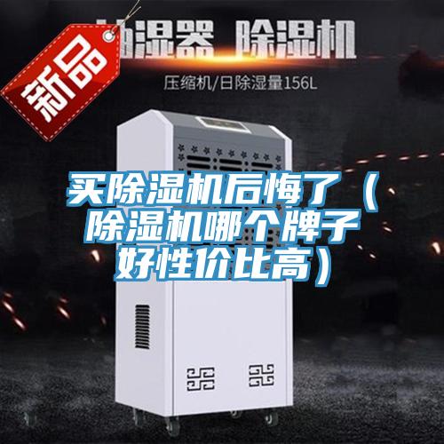 買(mǎi)除濕機(jī)后悔了（除濕機(jī)哪個(gè)牌子好性價(jià)比高）