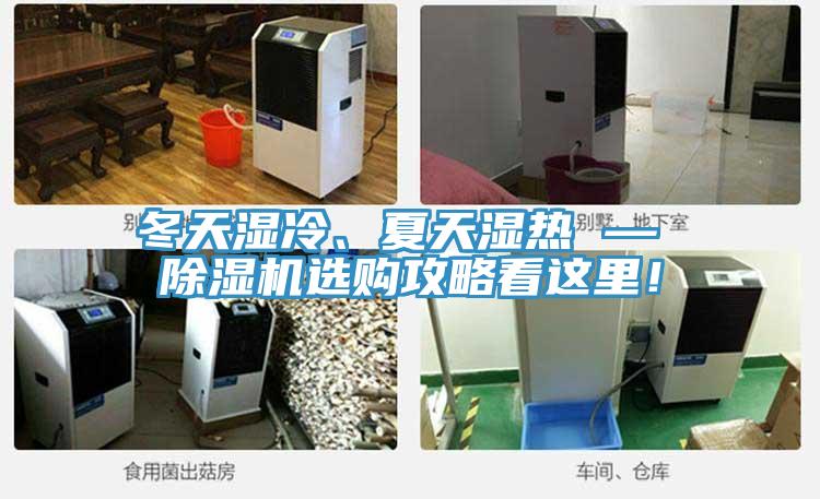 冬天濕冷、夏天濕熱 — 除濕機選購攻略看這里！