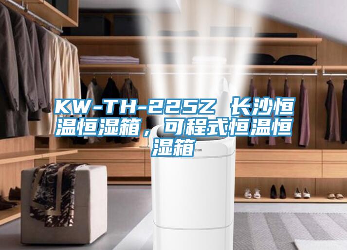 KW-TH-225Z 長沙恒溫恒濕箱，可程式恒溫恒濕箱