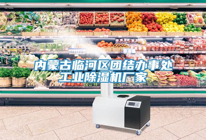 內蒙古臨河區(qū)團結辦事處工業(yè)除濕機廠家