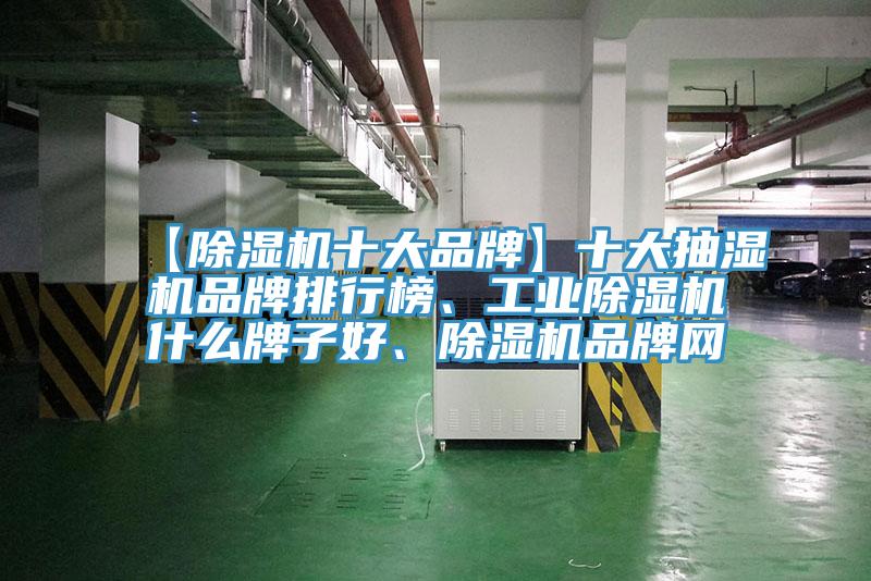 【除濕機(jī)十大品牌】十大抽濕機(jī)品牌排行榜、工業(yè)除濕機(jī)什么牌子好、除濕機(jī)品牌網(wǎng)