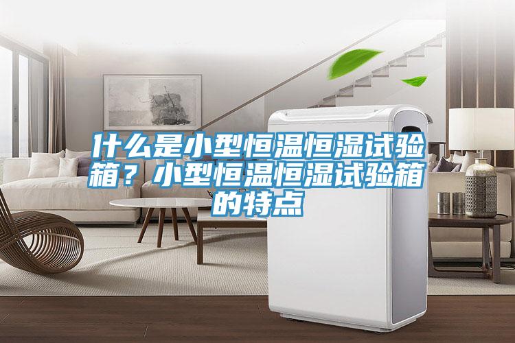 什么是小型恒溫恒濕試驗箱？小型恒溫恒濕試驗箱的特點