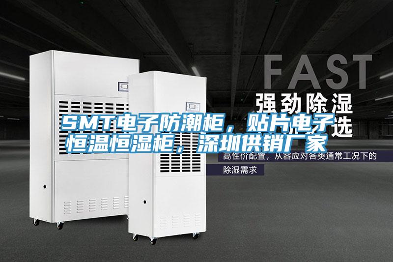 SMT電子防潮柜，貼片電子恒溫恒濕柜，深圳供銷廠家