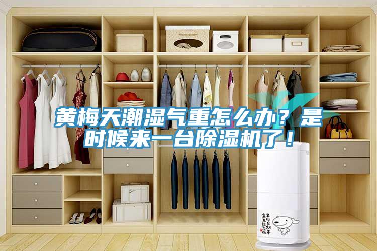 黃梅天潮濕氣重怎么辦？是時候來一臺除濕機了！