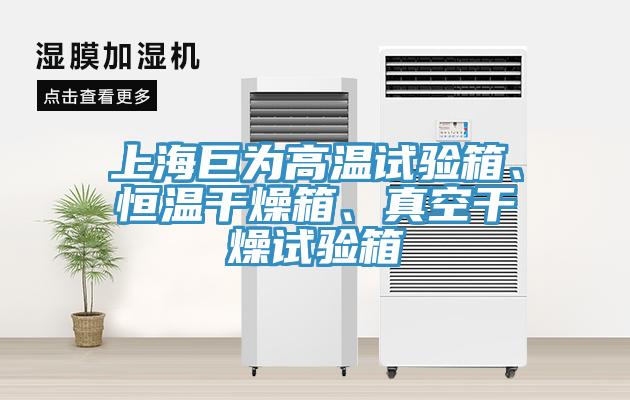 上海巨為高溫試驗(yàn)箱、恒溫干燥箱、真空干燥試驗(yàn)箱