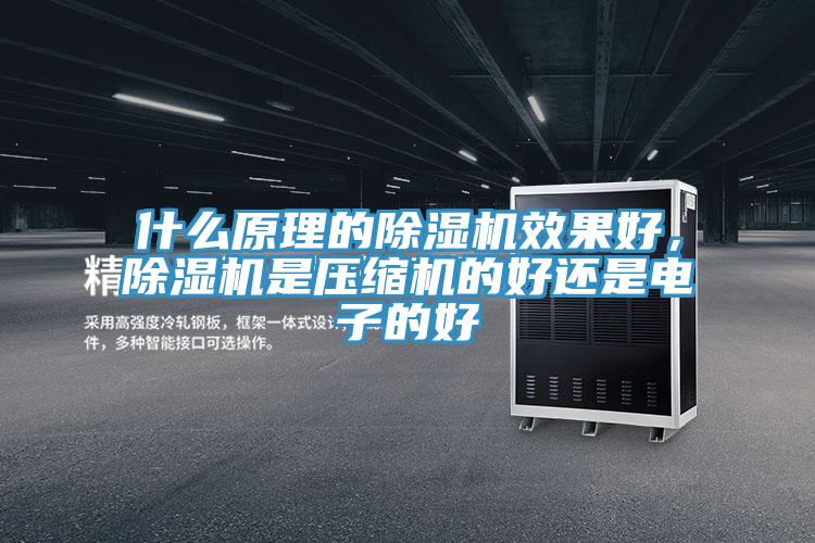 什么原理的除濕機效果好，除濕機是壓縮機的好還是電子的好