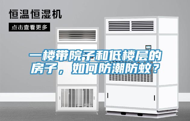 一樓帶院子和低樓層的房子，如何防潮防蚊？