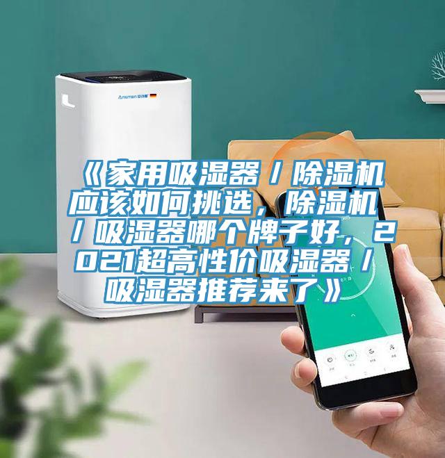 《家用吸濕器／除濕機(jī)應(yīng)該如何挑選，除濕機(jī)／吸濕器哪個(gè)牌子好，2021超高性?xún)r(jià)吸濕器／吸濕器推薦來(lái)了》