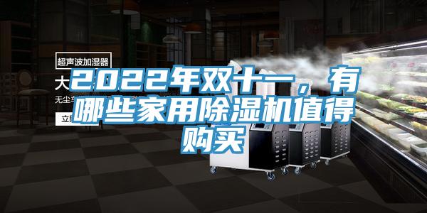 2022年雙十一，有哪些家用除濕機(jī)值得購(gòu)買