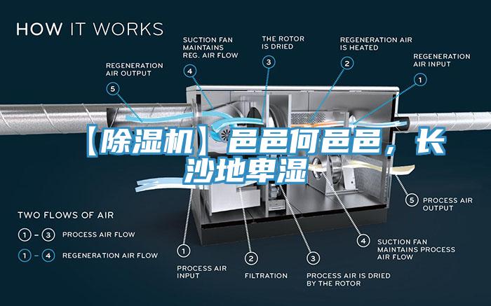 【除濕機(jī)】邑邑何邑邑，長(zhǎng)沙地卑濕