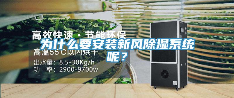 為什么要安裝新風除濕系統(tǒng)呢？