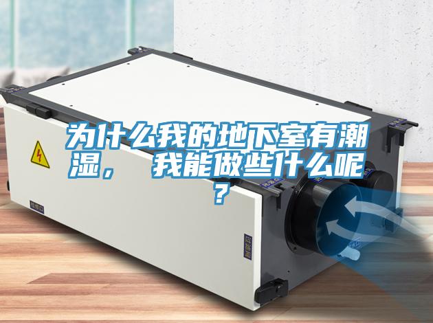 為什么我的地下室有潮濕， 我能做些什么呢？