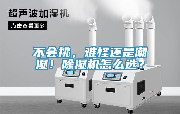 不會(huì)挑，難怪還是潮濕！除濕機(jī)怎么選？