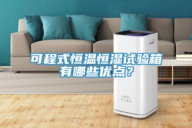 可程式恒溫恒濕試驗(yàn)箱有哪些優(yōu)點(diǎn)？