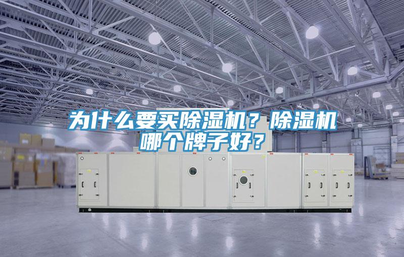 為什么要買除濕機？除濕機哪個牌子好？