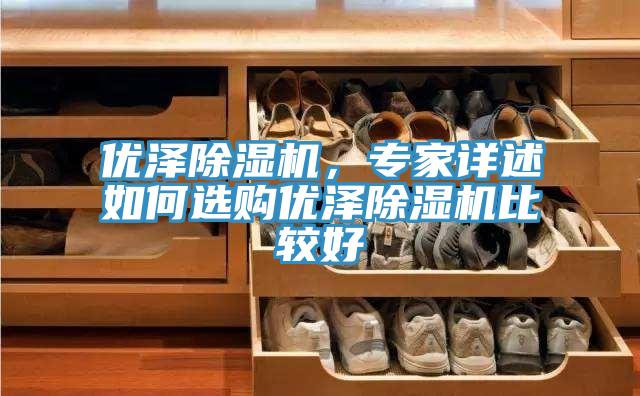 優(yōu)澤除濕機，專家詳述如何選購優(yōu)澤除濕機比較好