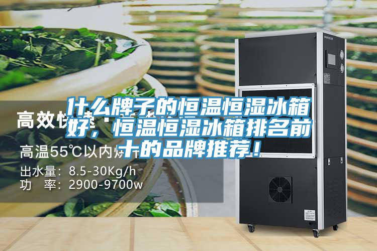 什么牌子的恒溫恒濕冰箱好，恒溫恒濕冰箱排名前十的品牌推薦！