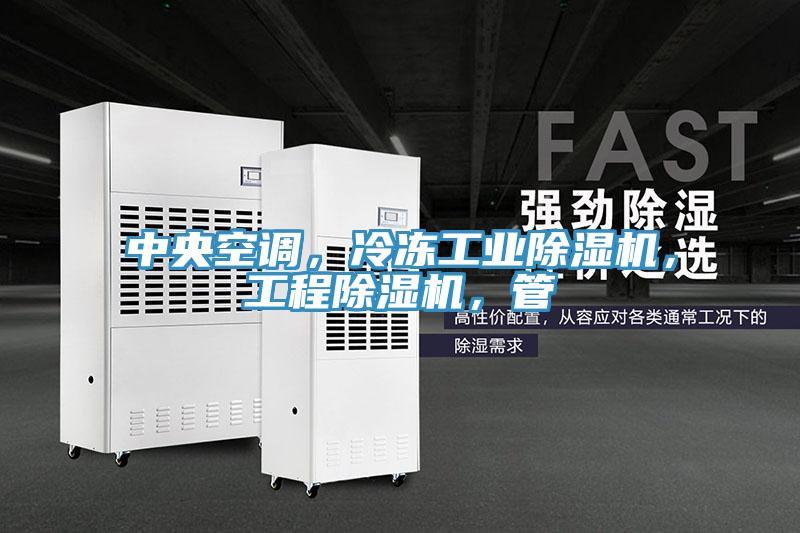 中央空調(diào)，冷凍工業(yè)除濕機(jī)，工程除濕機(jī)，管