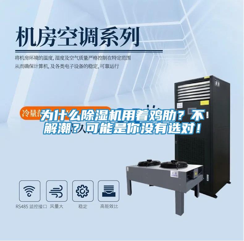 為什么除濕機(jī)用著雞肋？不解潮？可能是你沒有選對(duì)！